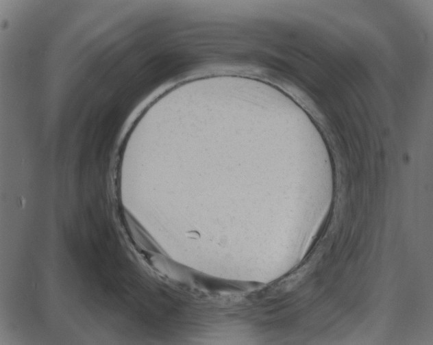 X0000087400912200705181329