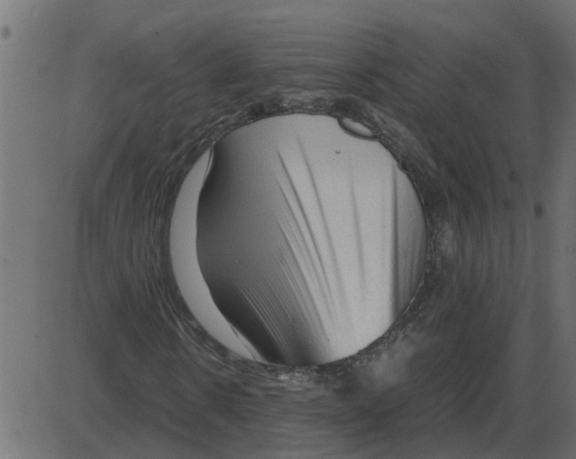 X0000087400914200705181328