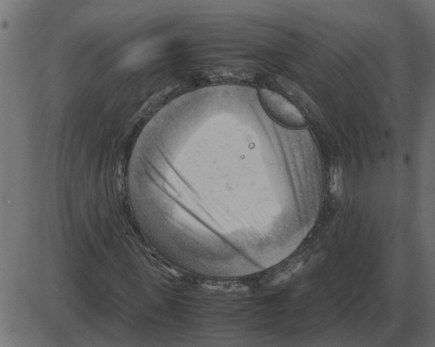 X0000087400915200705181328