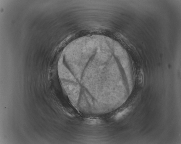 X0000087400916200705181328