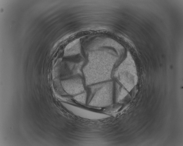 X0000087400920200705181328