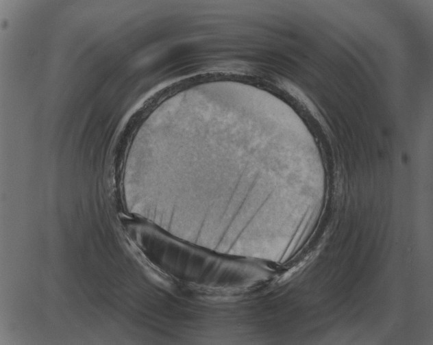 X0000087400923200705181328