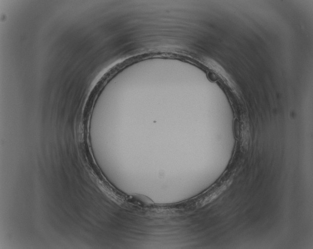 X0000087400924200705181328