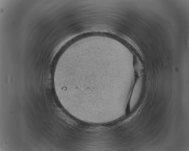 X0000087400926200705181328