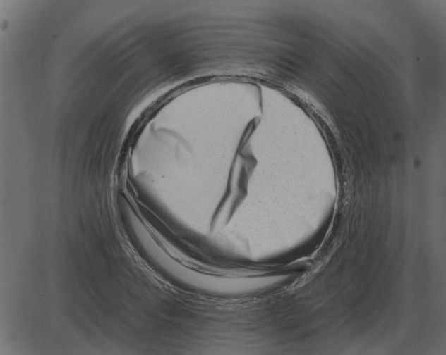 X0000087400928200705181329