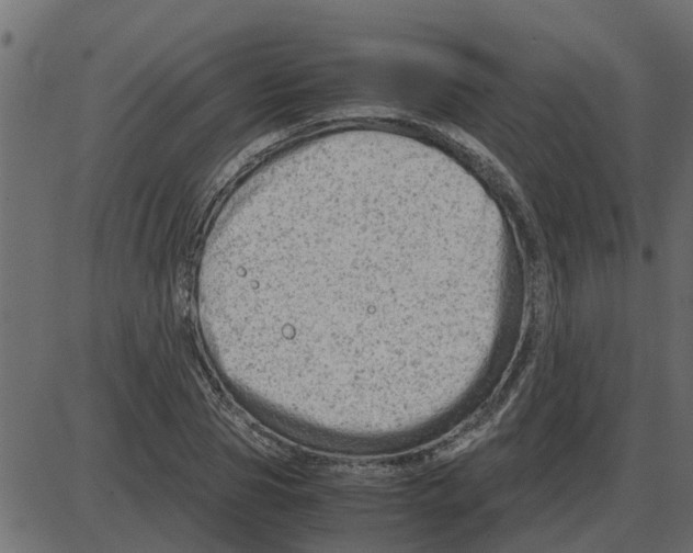 X0000087400929200705181329