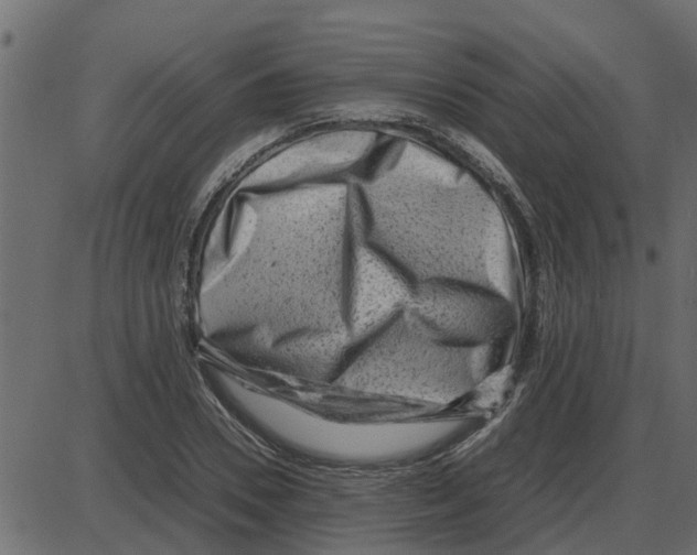 X0000087400930200705181329