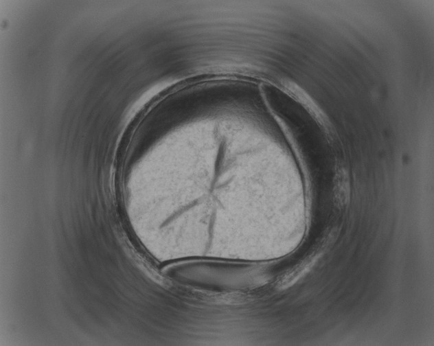 X0000087400932200705181329