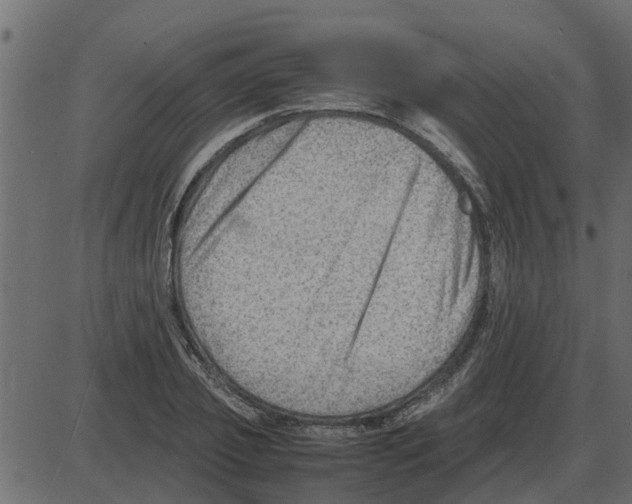 X0000087400933200705181329