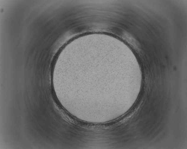 X0000087400934200705181329