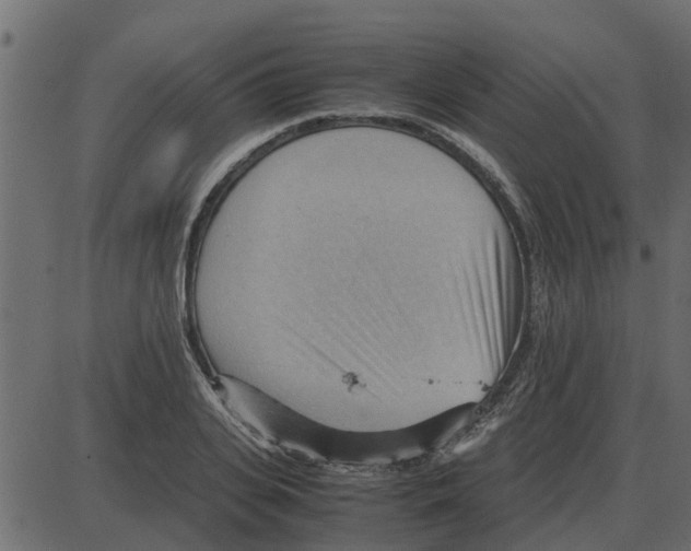 X0000087400935200705181329