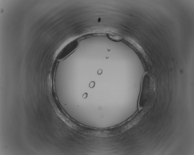 X0000087400936200705181329