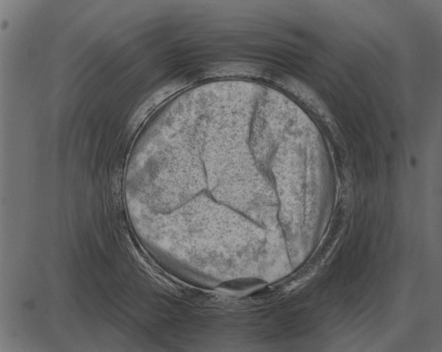 X0000087400937200705181329