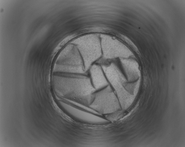 X0000087400938200705181329