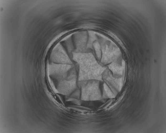 X0000087400939200705181329