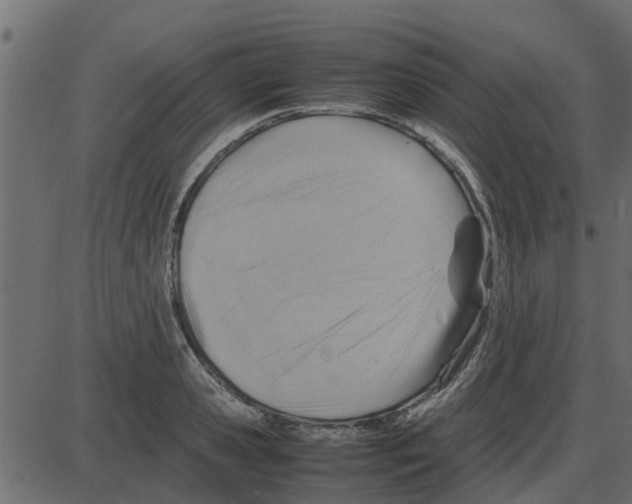 X0000087400941200705181329