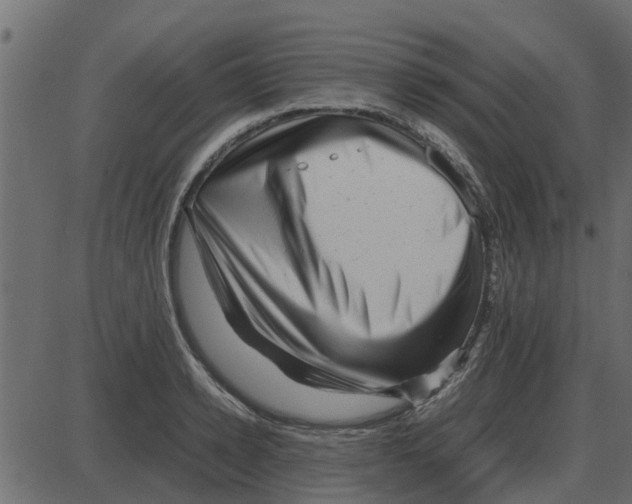 X0000087400942200705181329