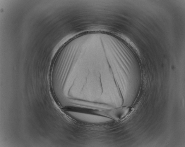 X0000087400943200705181329