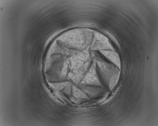 X0000087400944200705181329