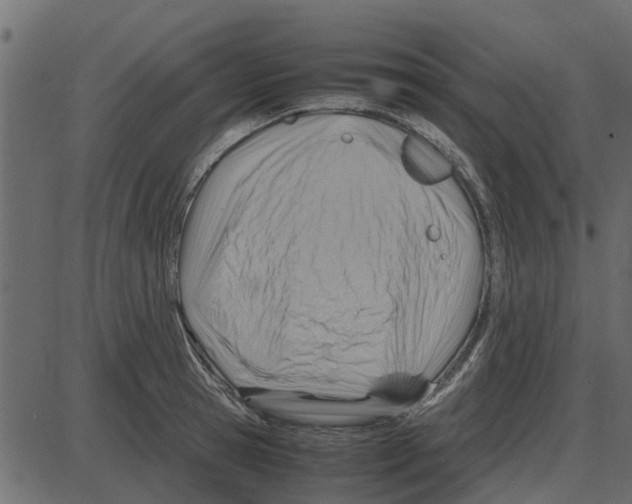 X0000087400945200705181329