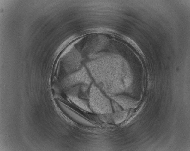 X0000087400946200705181329