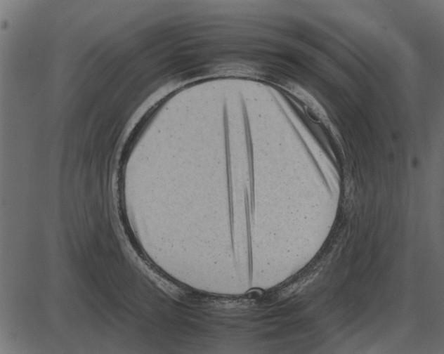 X0000087400947200705181329