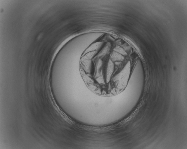 X0000087400948200705181329