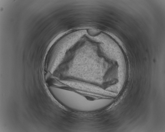 X0000087400949200705181329