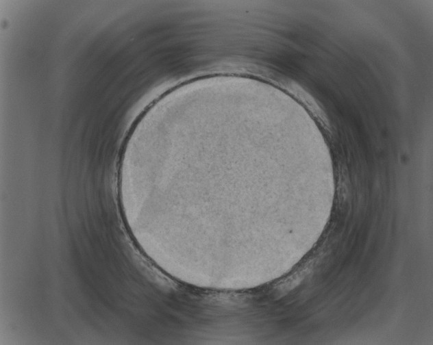 X0000087400950200705181329