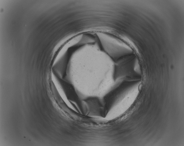 X0000087400952200705181329