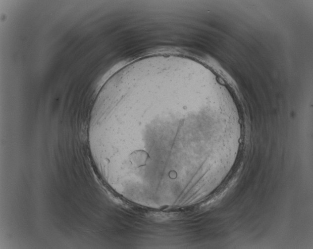 X0000087400953200705181329