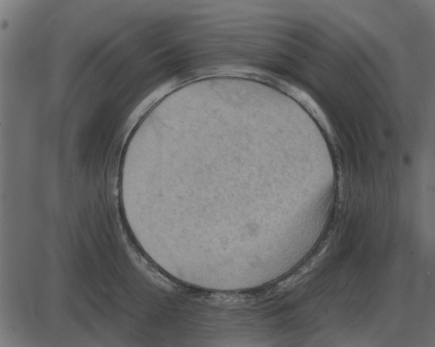 X0000087400954200705181329