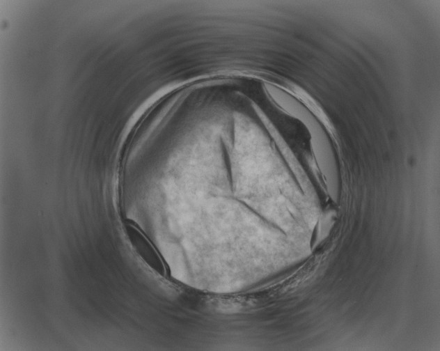 X0000087400955200705181329