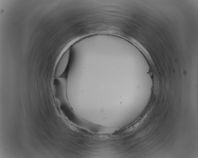 X0000087400956200705181329