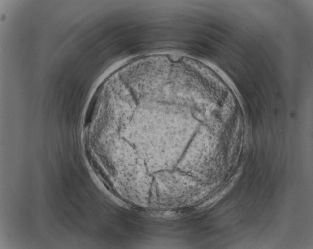 X0000087400957200705181329