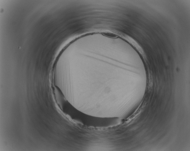 X0000087400958200705181329