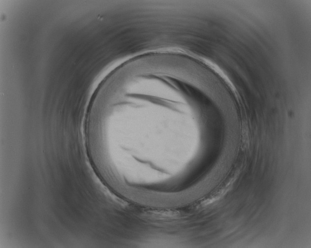 X0000087400959200705181329