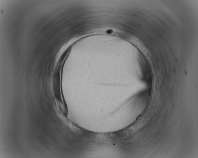 X0000087400960200705181329