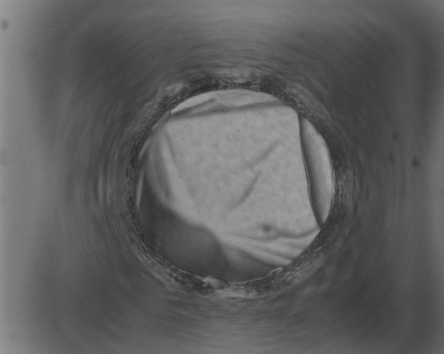 X0000087400961200705181328