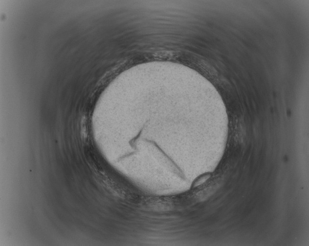 X0000087400962200705181328