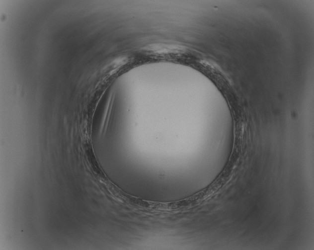 X0000087400965200705181328