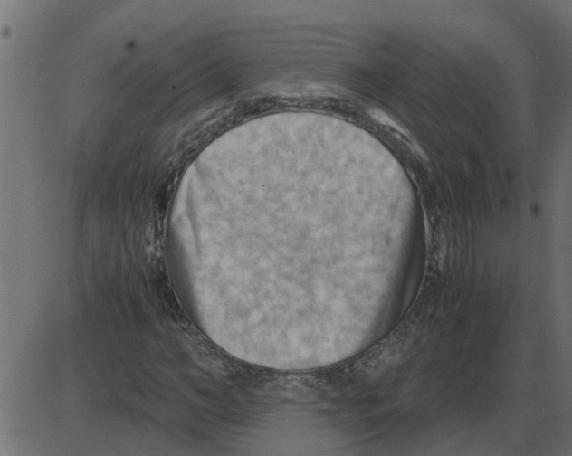 X0000087400966200705181328