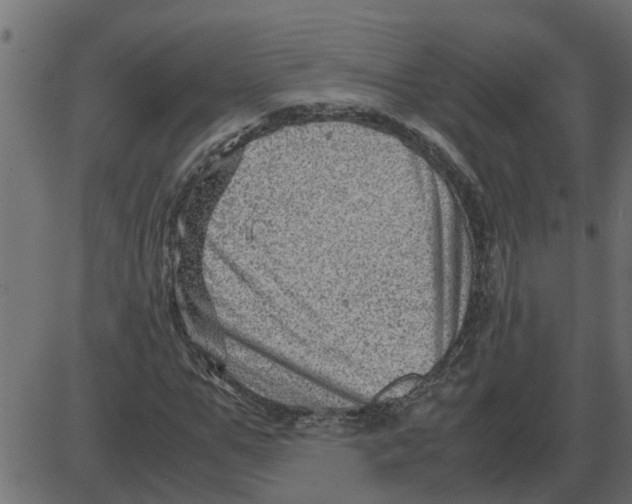 X0000087400967200705181328