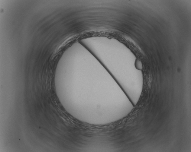 X0000087400968200705181328