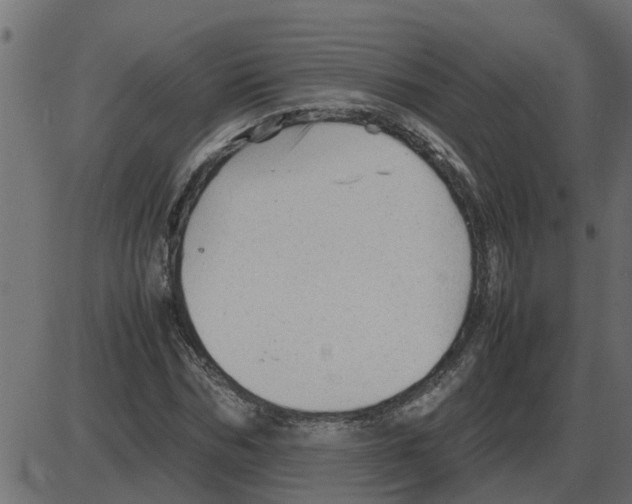 X0000087400970200705181328