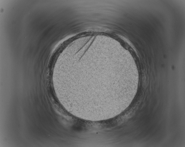 X0000087400971200705181328