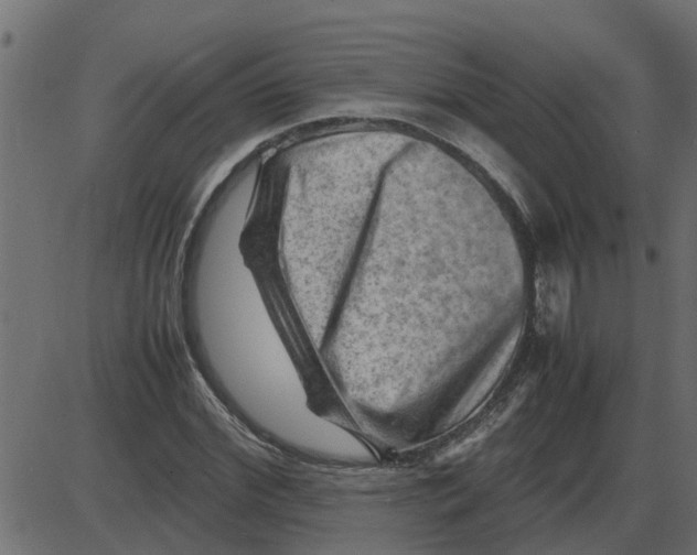 X0000087400972200705181328