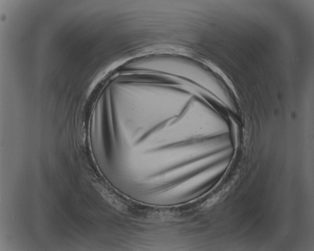 X0000087400973200705181328