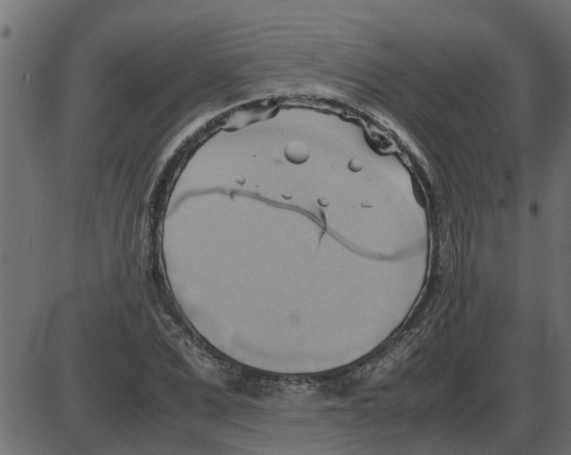 X0000087400975200705181328