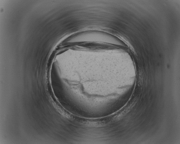 X0000087400976200705181328